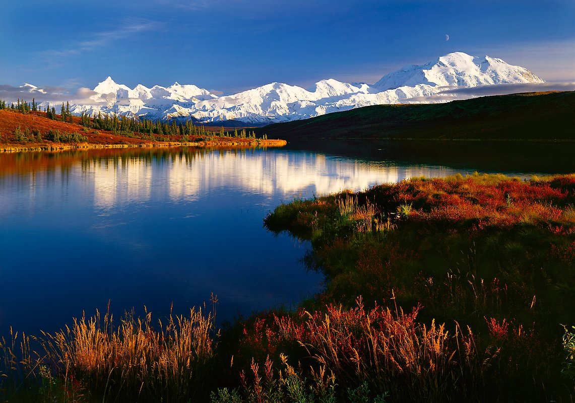 Denali National Park.  ()