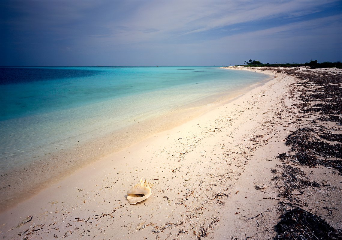 Dry Tortugas National Park.  ()