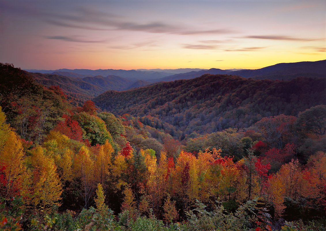 Great Smoky Mountains National Park.  ()