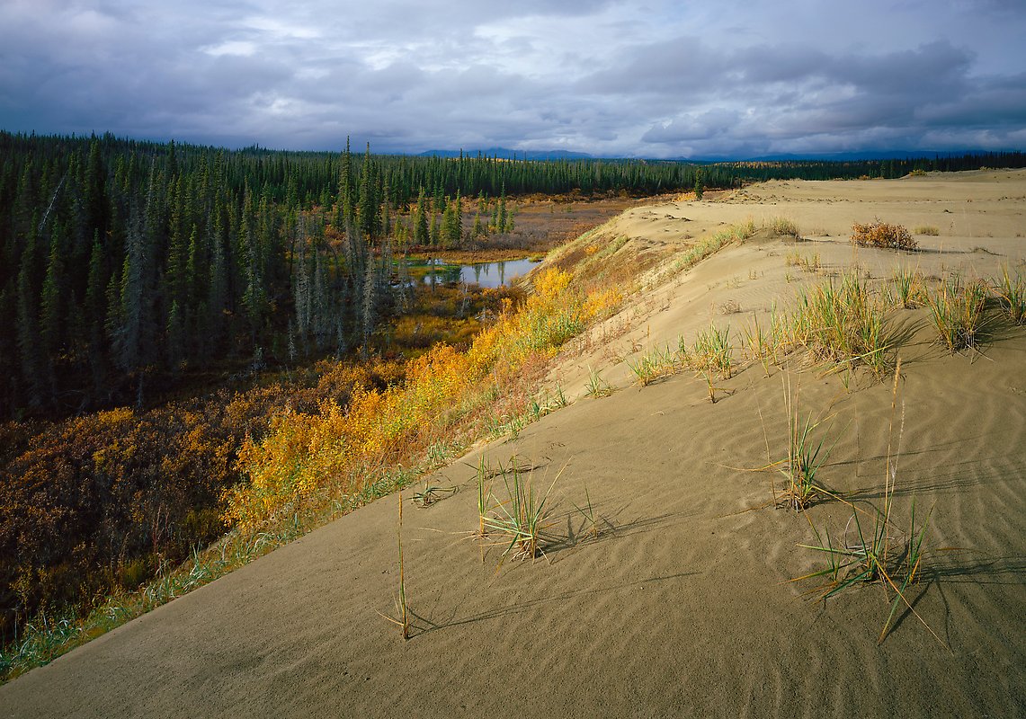 Kobuk Valley National Park.  ()