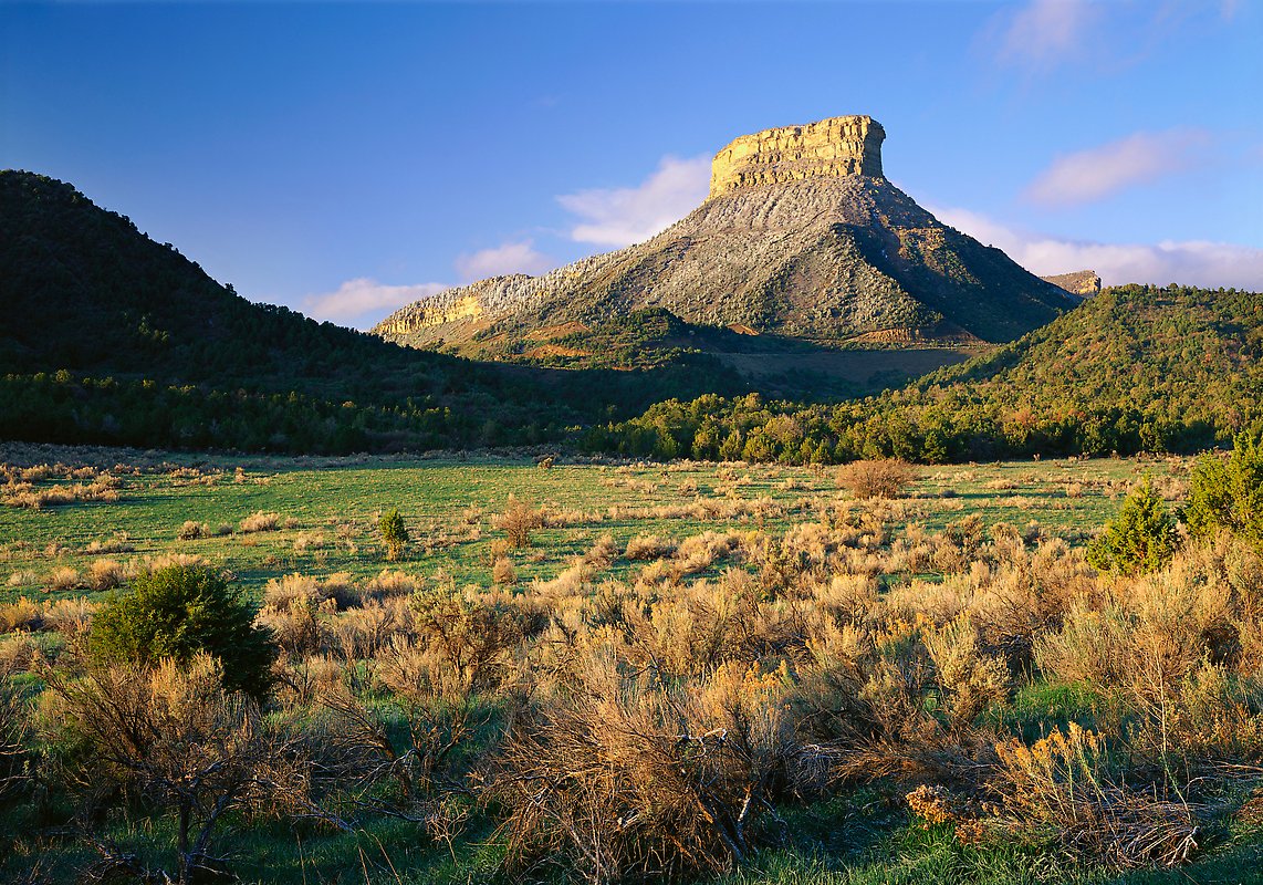 Meva Verde National Park.  ()