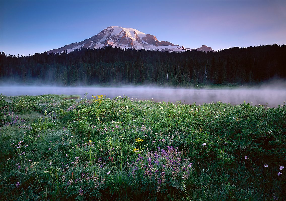 Mount Rainier National Park.  ()
