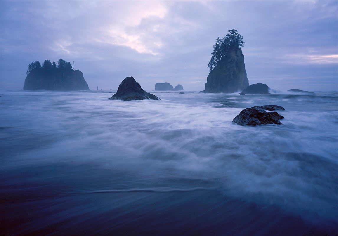 Olympic National Park.  ()