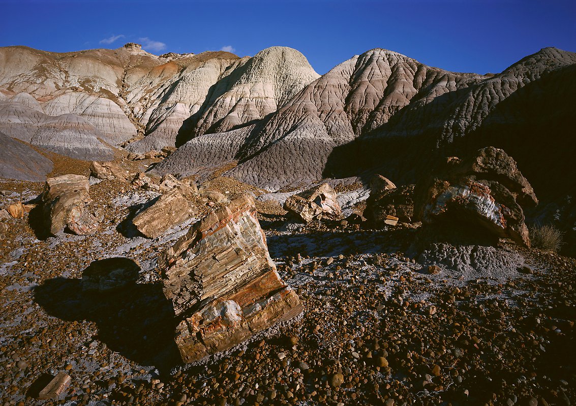 Petrified Forest National Park.  ()