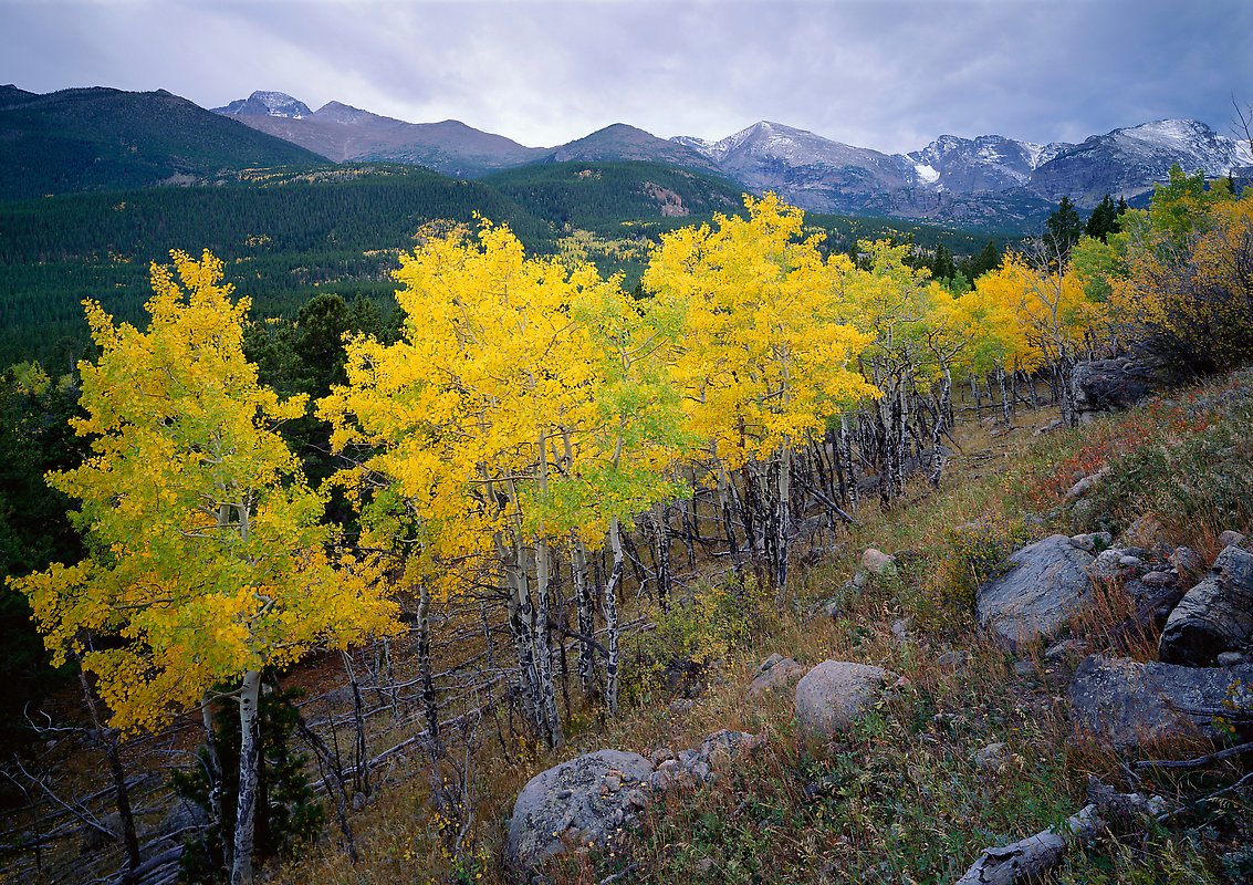 Rocky Mountain National Park.  ()