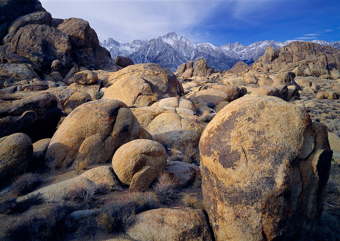 Sequoia National Park.  ()