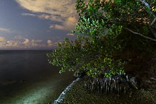 Biscayne National Park.  ( )