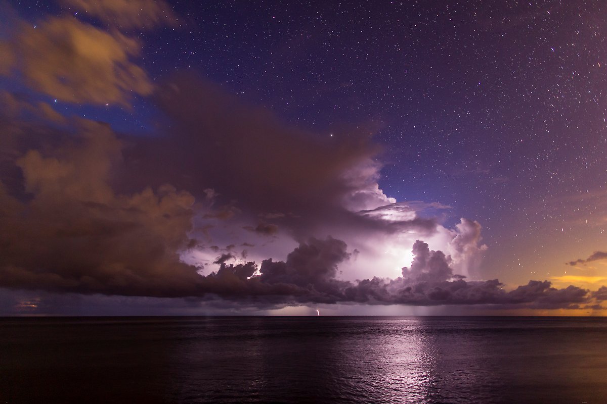 Everglades National Park.  ()