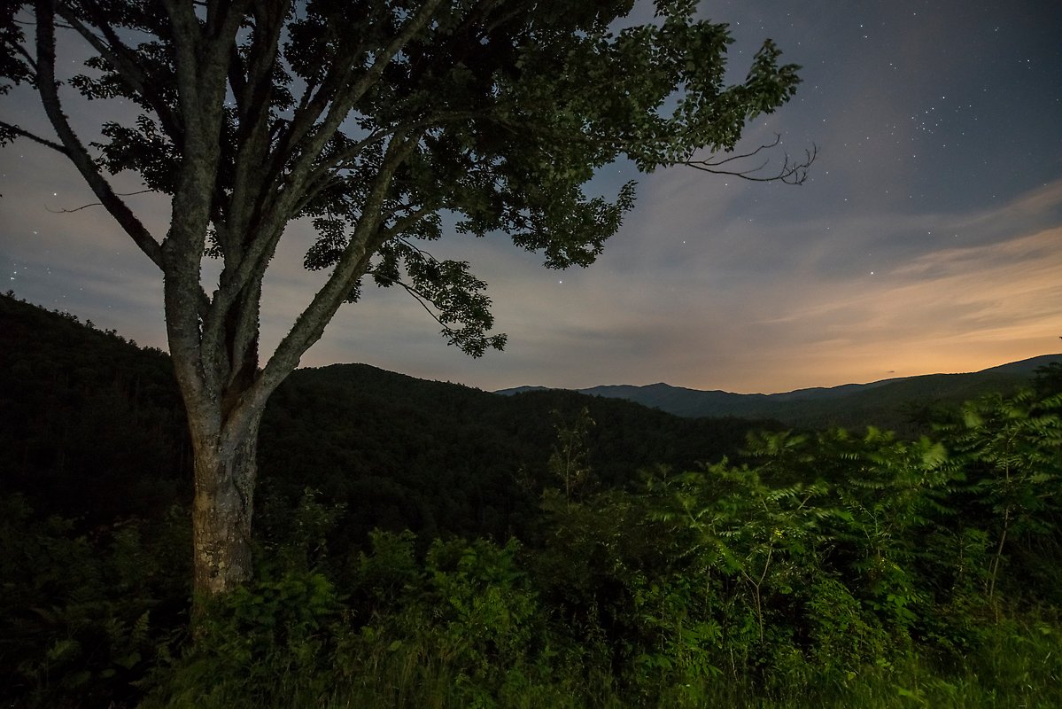 Great Smoky Mountains National Park.  ()