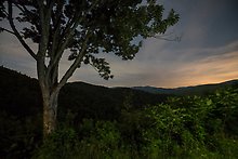 Great Smoky Mountains National Park.  ( )