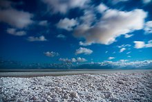 Indiana Dunes National Park.  ( )