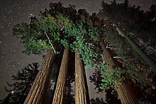 Kings Canyon National Park.  ( )
