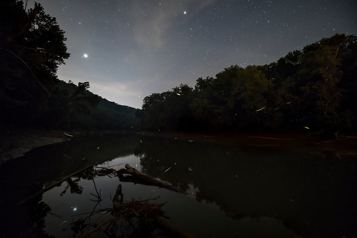 Mammoth Cave National Park.  ()