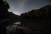 Mammoth Cave National Park.  ( )