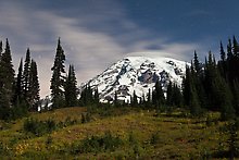 Mount Rainier National Park.  ( )