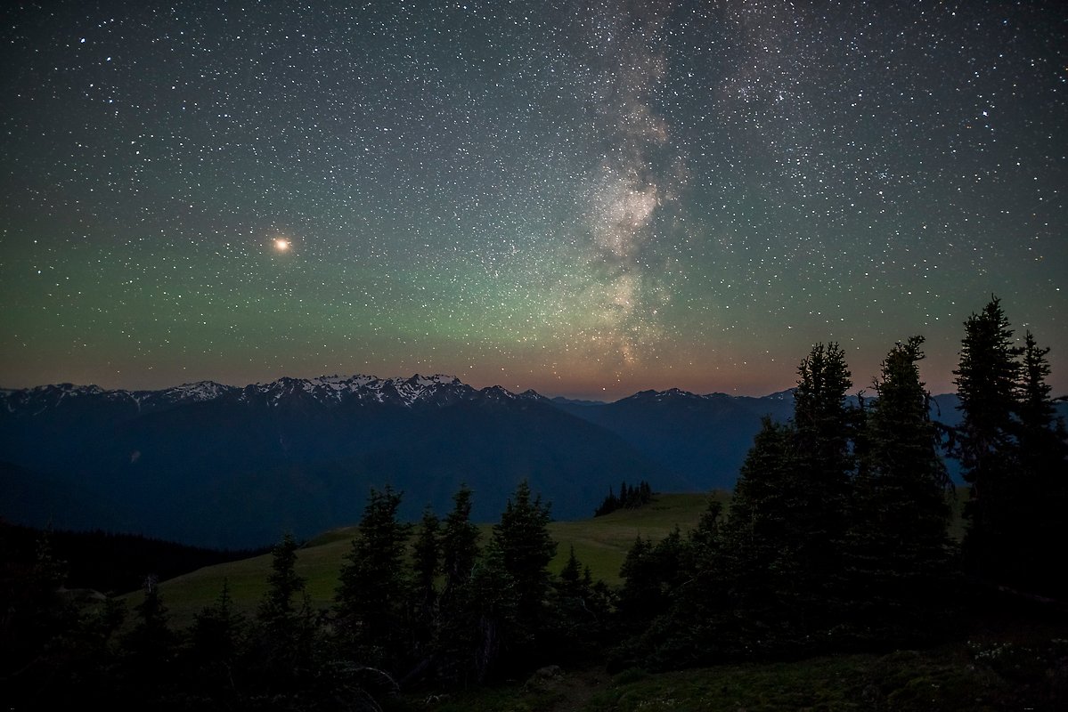 Olympic National Park.  ()