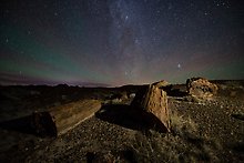 Petrified Forest National Park.  ( )