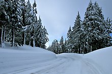 Munson Vallery Road. Crater Lake National Park.  ( )