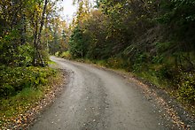 Brooks Camp-Lake Brooks Road. Katmai National Park.  ( )