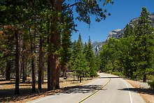 Cedar Grove Road. Kings Canyon National Park.  ( )
