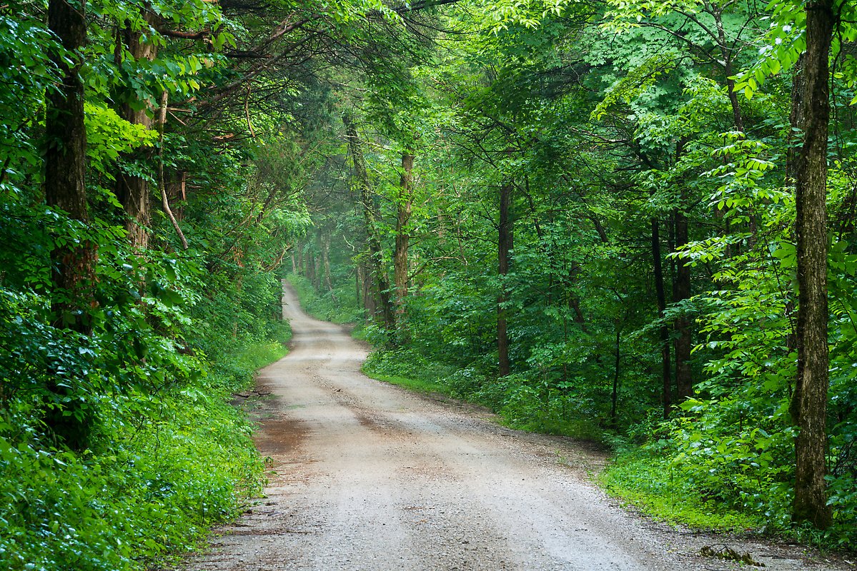 Dennison Ferry Road. Mammoth Cave National Park.  ()