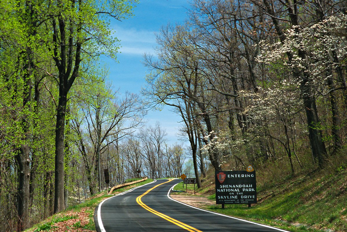 Skyline Drive. Shenandoah National Park.  ()