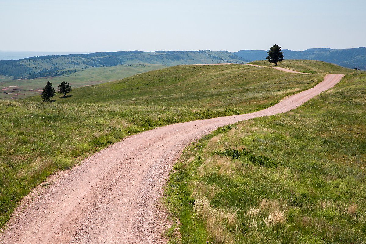 Road 5. Wind Cave National Park.  ()