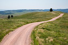 Road 5. Wind Cave National Park.  ( )