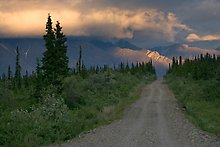 Nabesna Road. Wrangell-St Elias National Park.  ( )