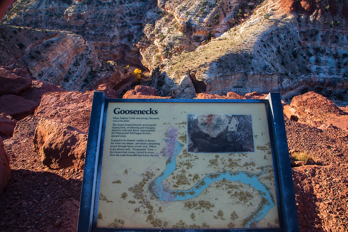 Sulfur Creek Goosenecks. Capitol Reef National Park.  ()