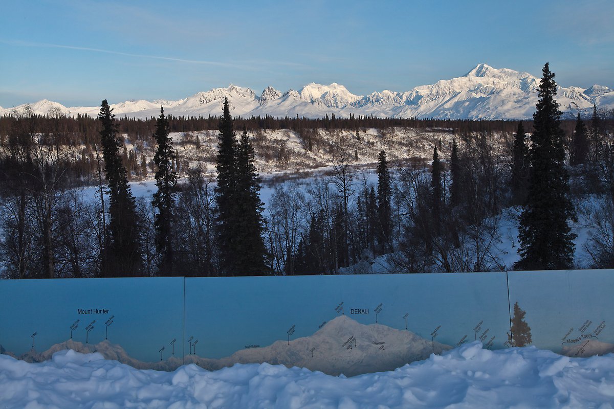 Forest and Alaska range. Denali National Park.  ()