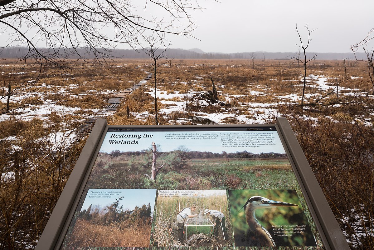 Cowles Bog. Indiana Dunes National Park.  ()