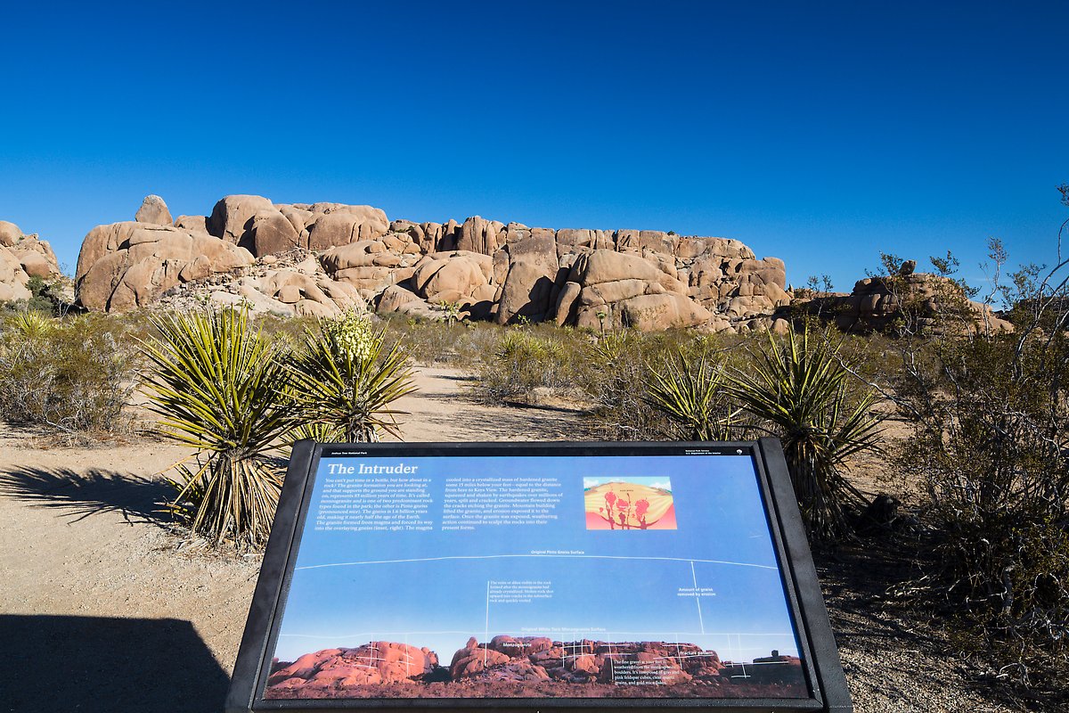 Monzogranite formation. Joshua Tree National Park.  ()