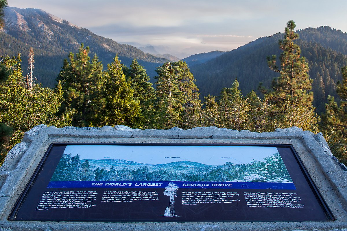 Redwood Mountain, Kings Canyon National Park.  ()