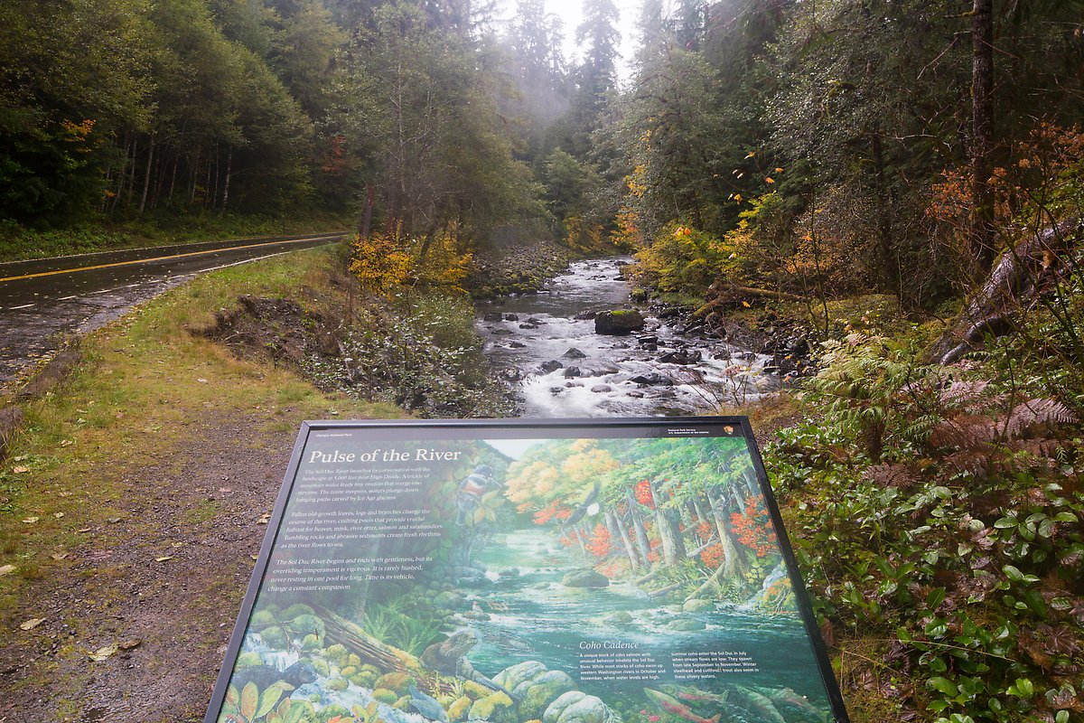 Sol Duc River. Olympic National Park.  ()