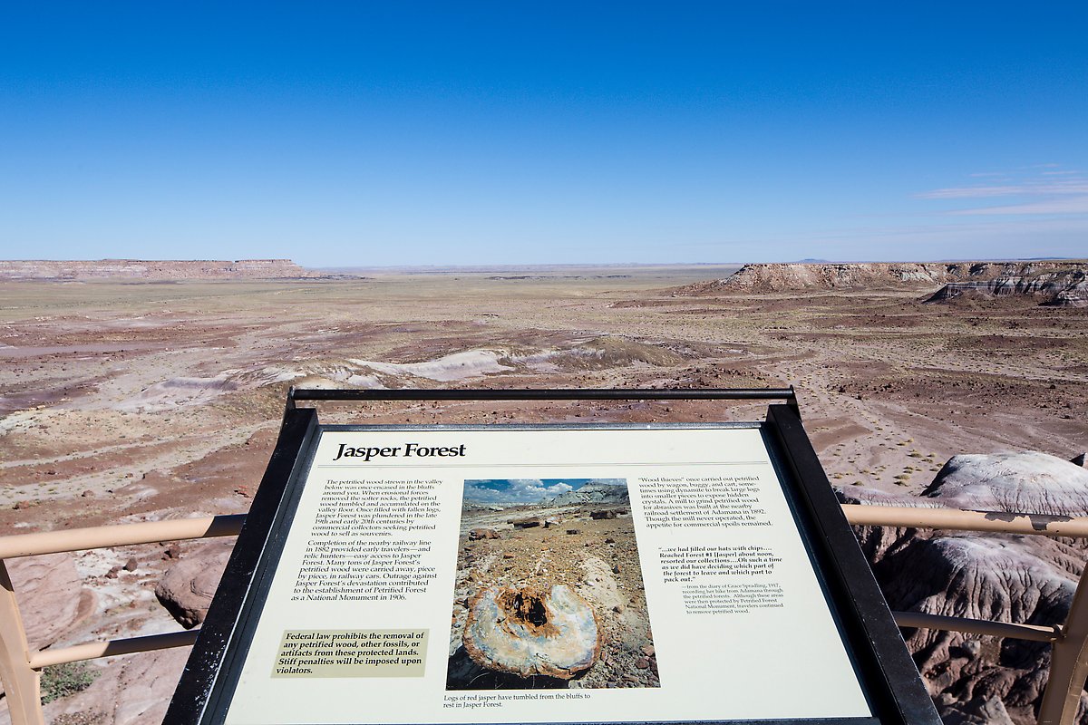 Jasper Forest. Petrified Forest National Park.  ()