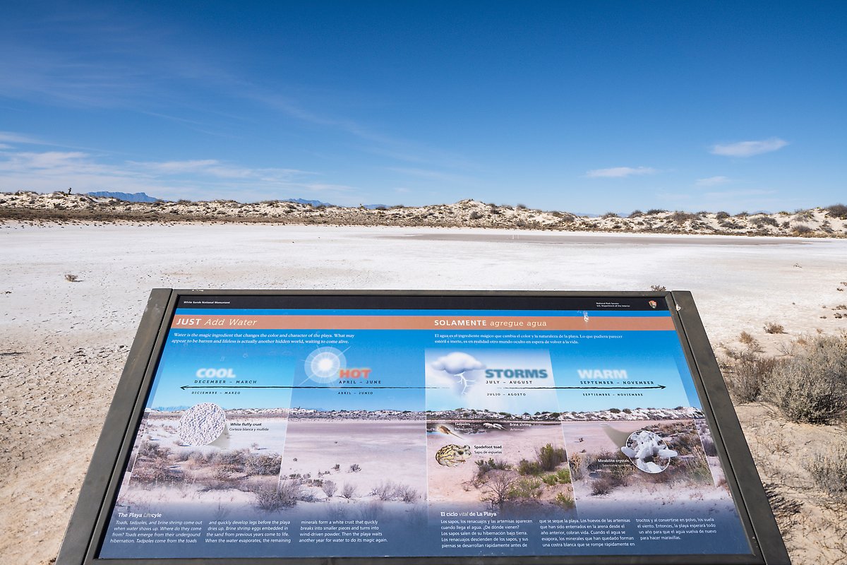 Playa, White Sands National Park.  ()