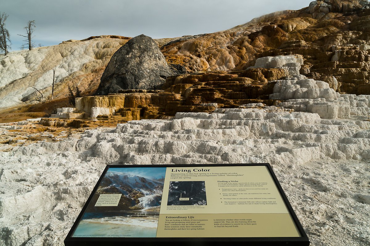 Mammoth Hot Springs. Yellowstone National Park.  ()