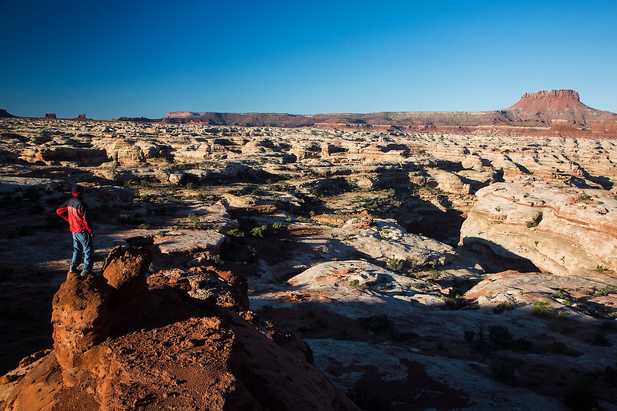 Maze canyons. Canyonlands National Park.  ()