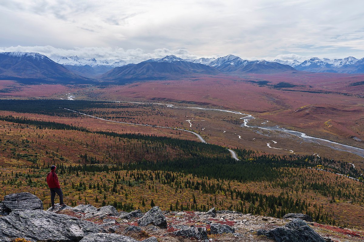 Savage River and Alaska Range. Denali National Park.  ()
