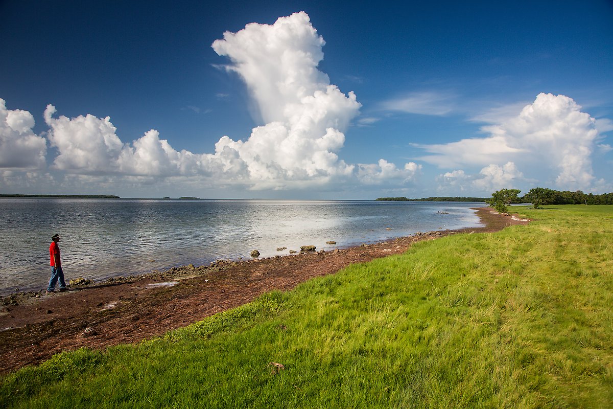 Florida Bay. Everglades National Park.  ()