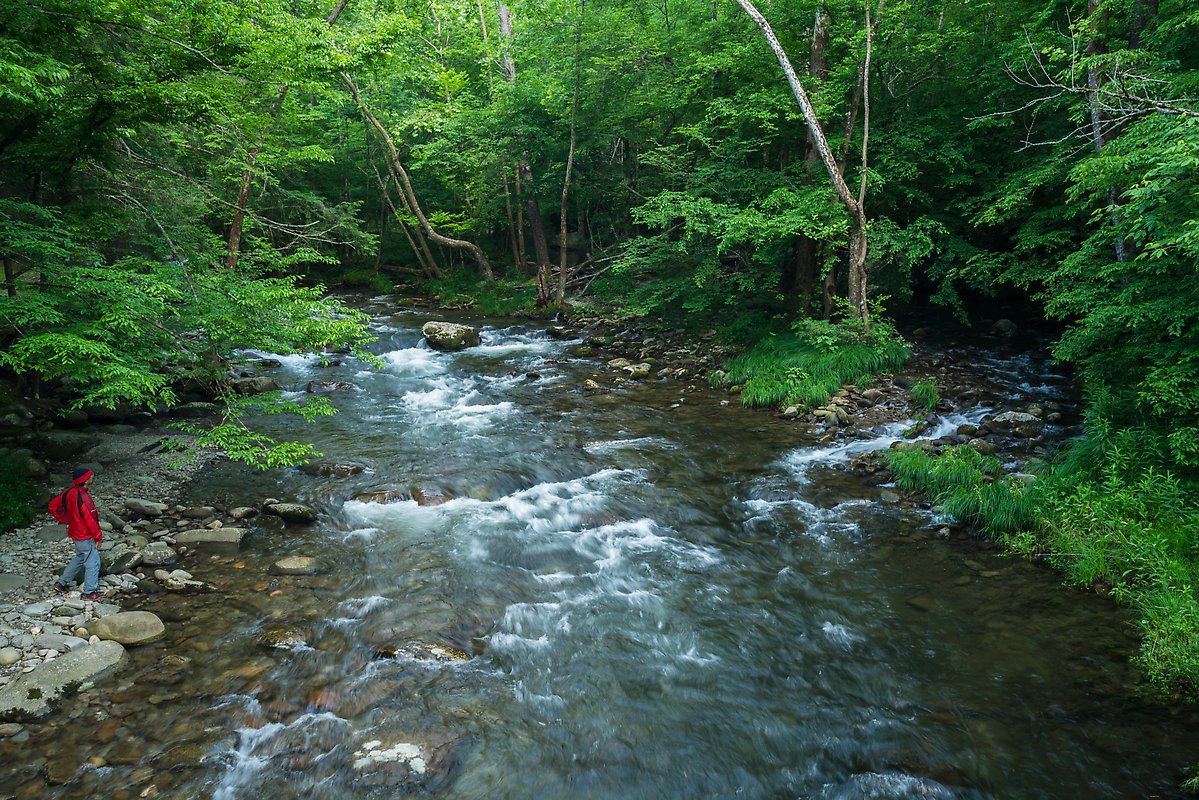 Little River. Great Smoky Mountains National Park.  ()