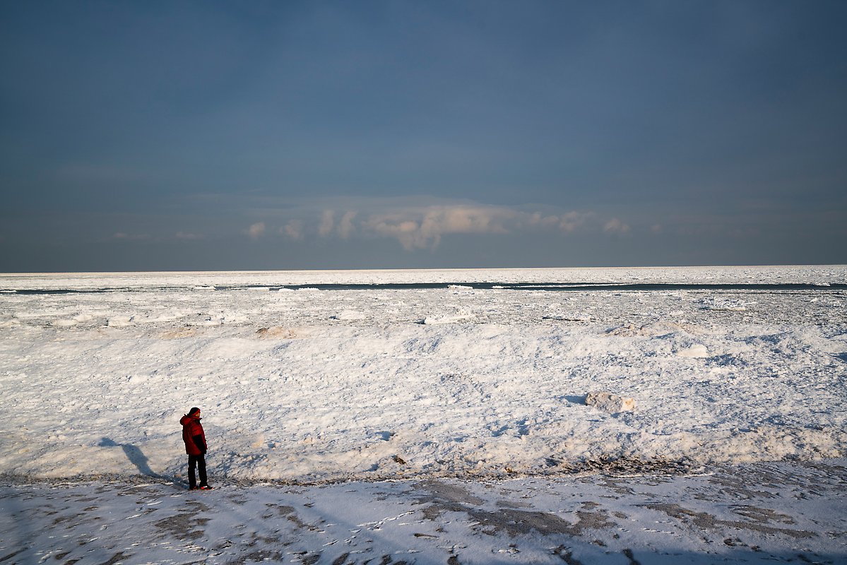 Mt Baldy Beach. Indiana Dunes National Park.  ()