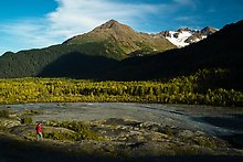 Exit Glacier outwash plain. Kenai Fjords National Park.  ( )