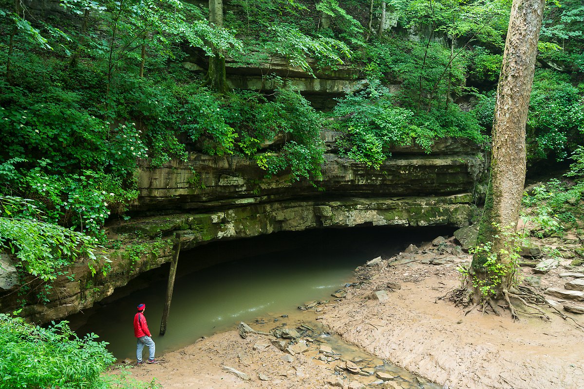 River Styx resurgence. Mammoth Cave National Park.  ()