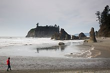 Ruby Beach. Olympic National Park.  ( )