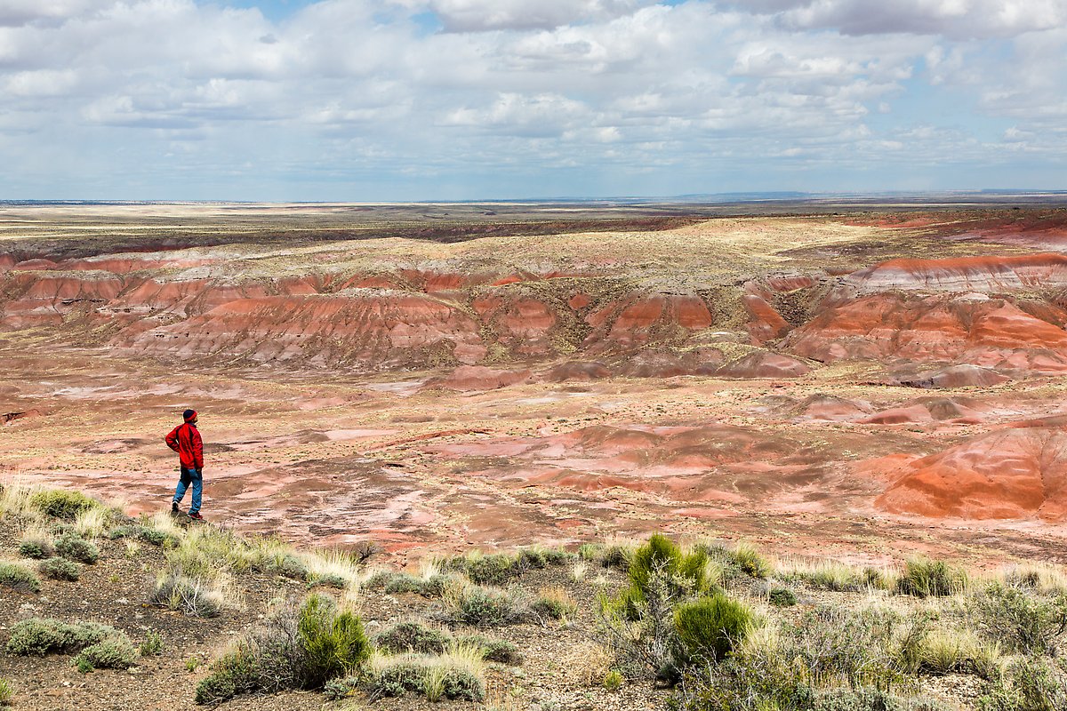 Painted Desert near Tiponi Point. Petrified Forest National Park.  ()