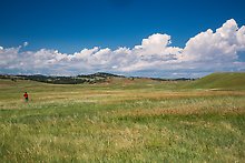 Prairie and rolling hills. Wind Cave National Park.  ( )