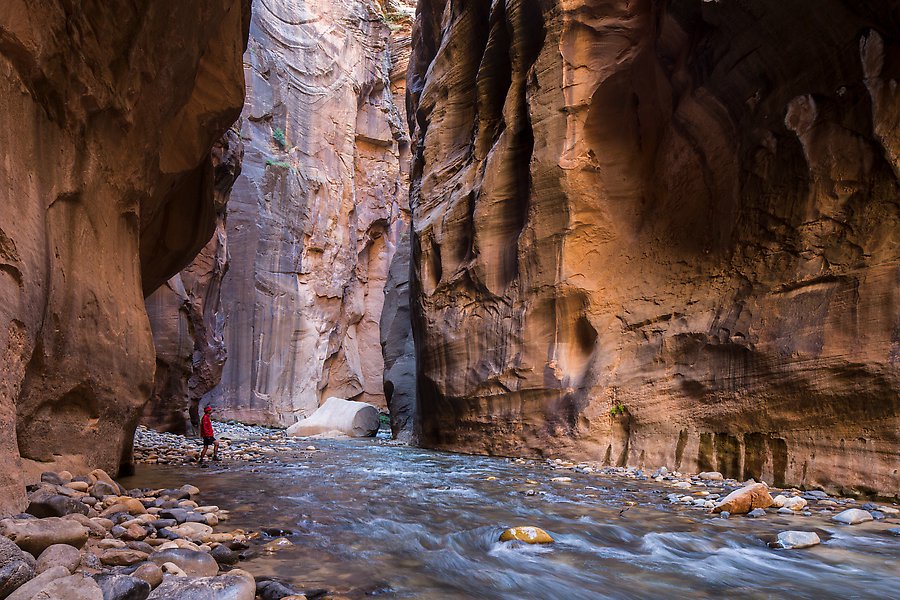 Virgin River Narrows. Zion National Park.  ()