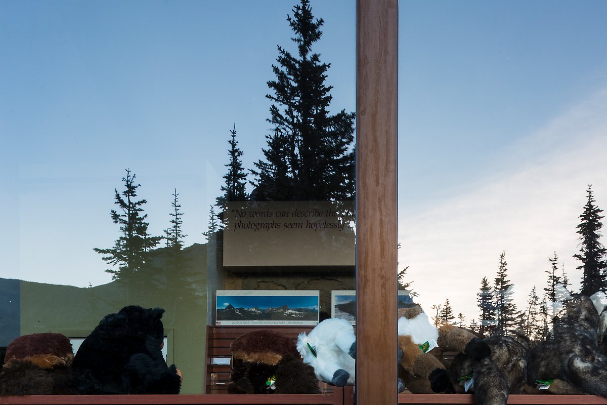 Firs and peak, Logan Pass visitor center. Glacier National Park.  ()
